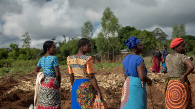 Magnum Aiming to Enhance Financial Opportunities for 5K Female Cocoa Farmers by 2025