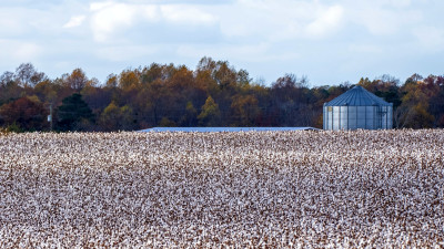When It Comes to Cotton Production, Sustainability Is in the Water