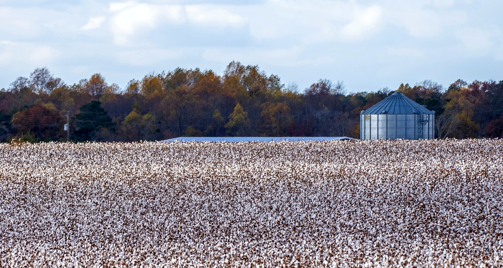 When It Comes to Cotton Production, Sustainability Is in the Water