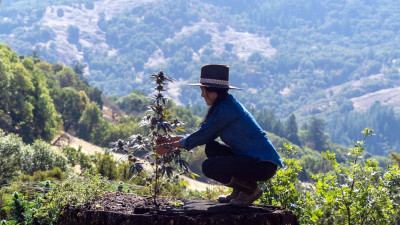 New Campaign Aims to Teach Cannabis Users Benefits of Regenerative Farming
