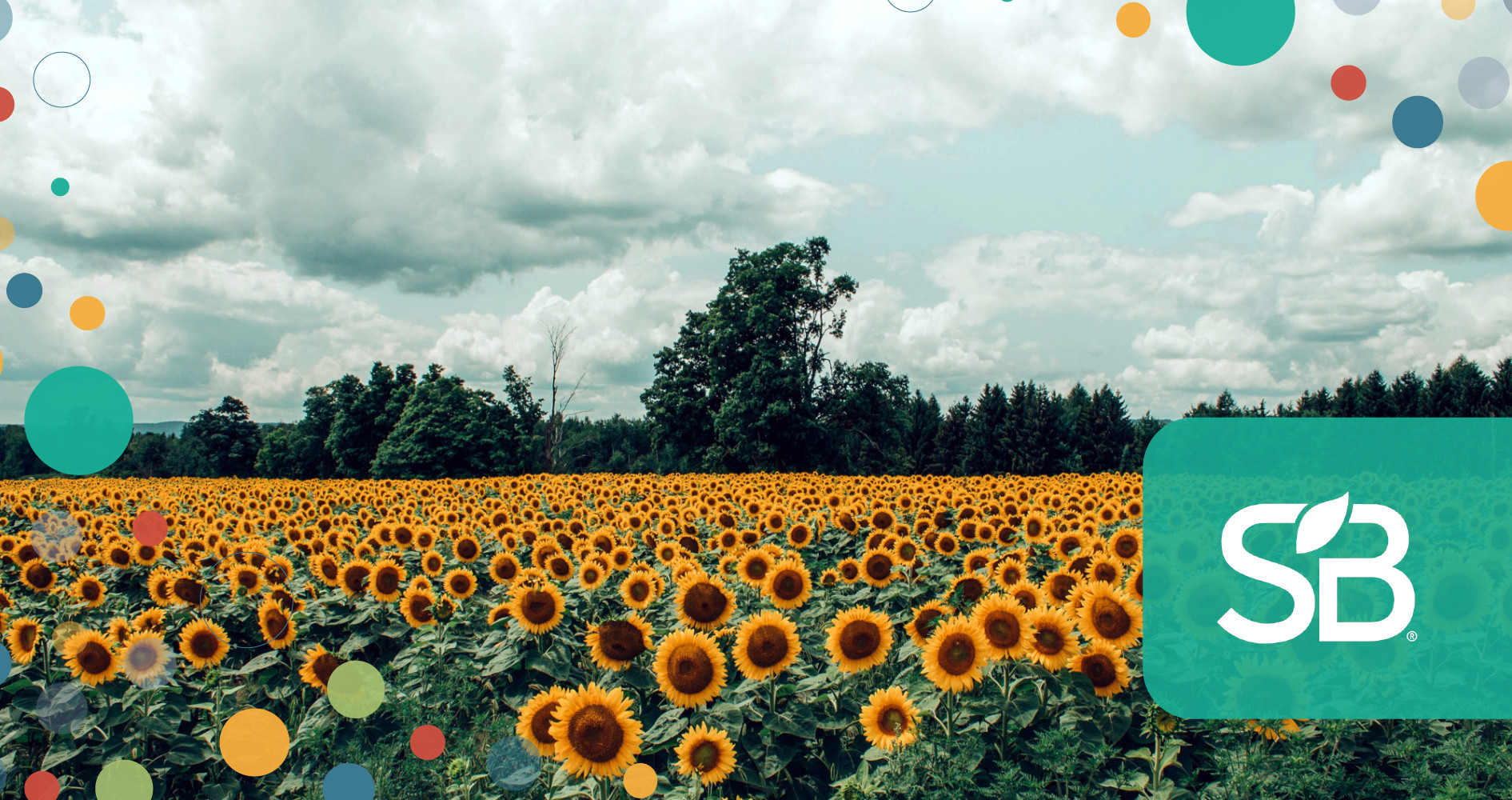 Without Ukrainian Sunflower Oil, Iceland Foods Forced to Put