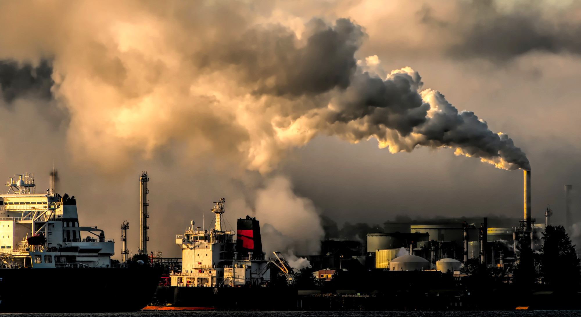 Refreshing Optimism from IPCC: ‘We Can Halve Emissions by 2030.’ But Will Banks Play Their Part?