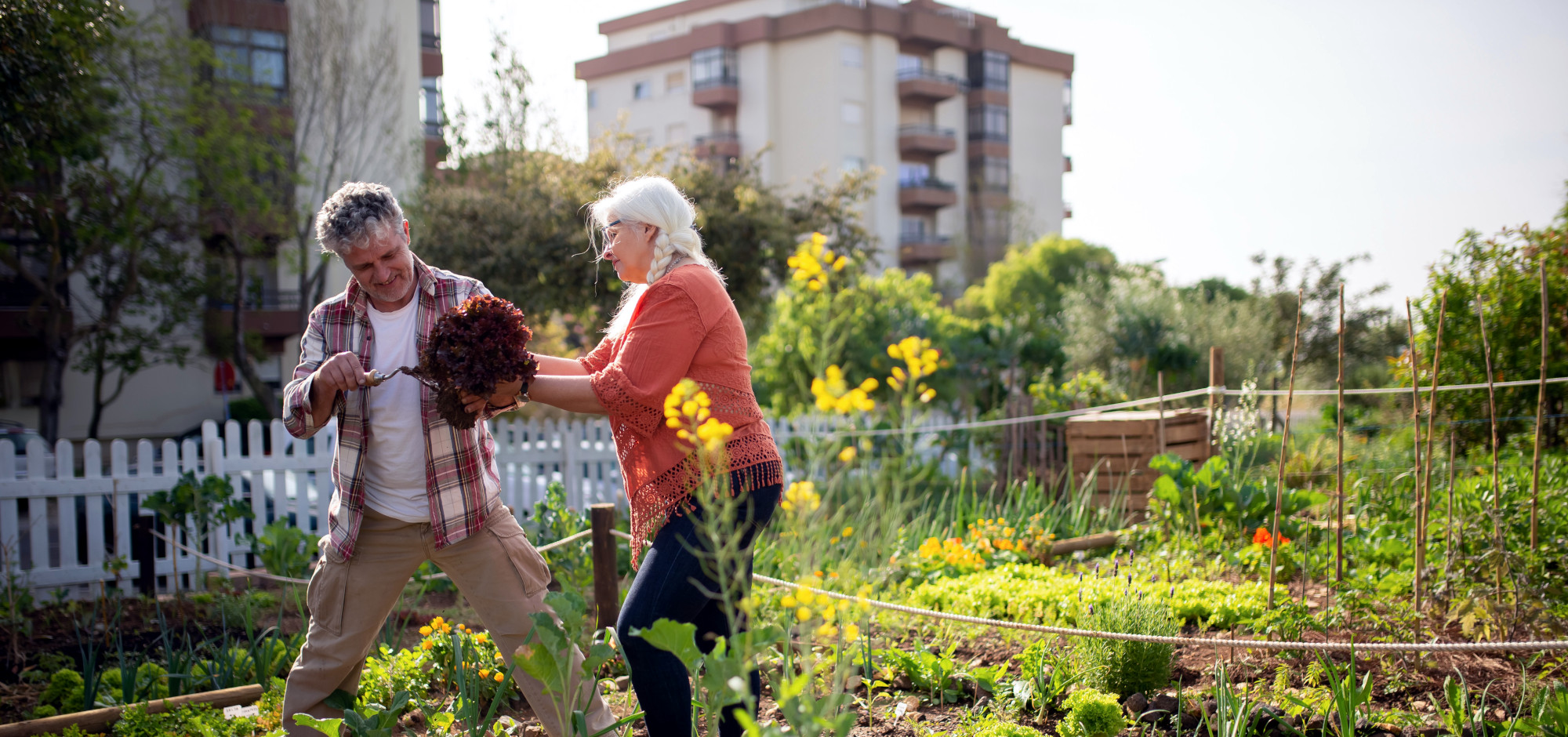 New Research Shows ‘Urban-Rural Divide’ Bridged by Interest in Sustainable Lifestyles