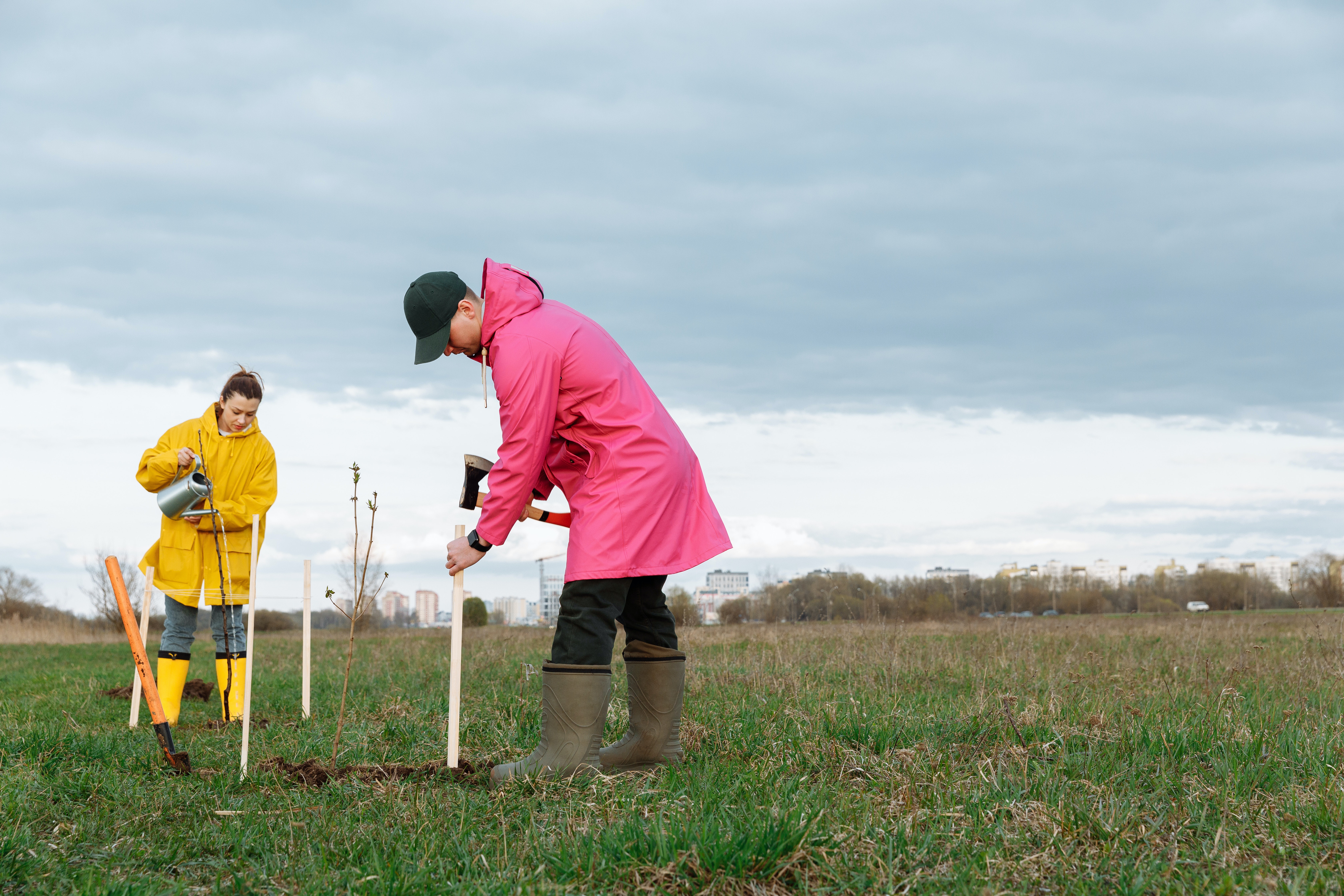 The Arbor Day Foundation and Kimberly-Clark Partner for the 150th National Arbor Day Celebration