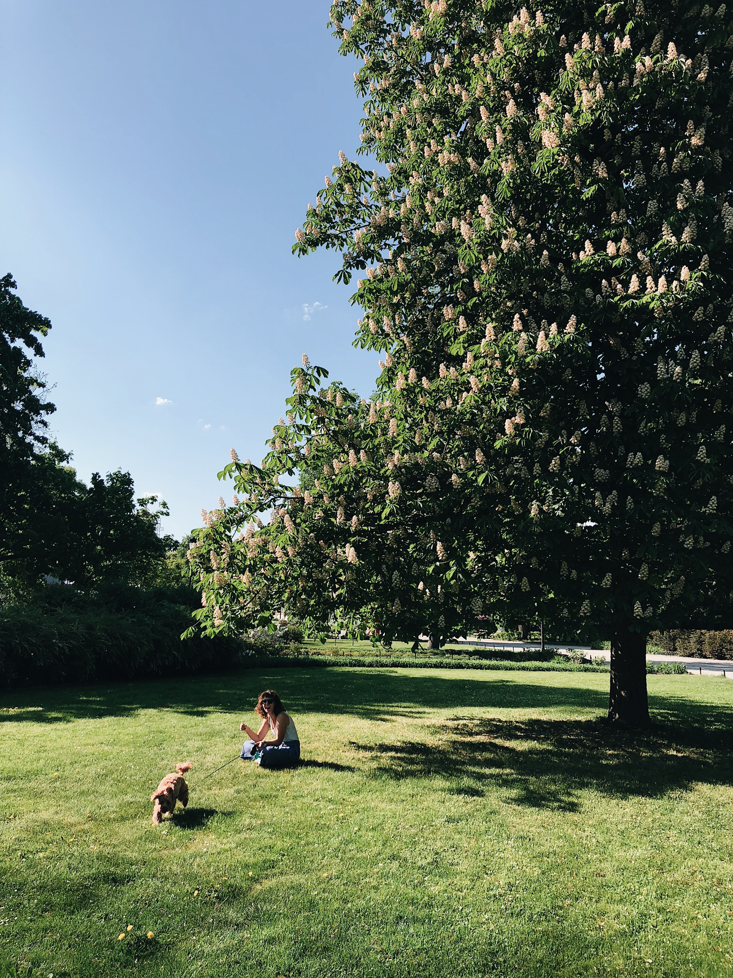 Looking to Celebrate the 150th Arbor Day? Try One of These 150 Tree-Themed Activities from the Arbor Day Foundation