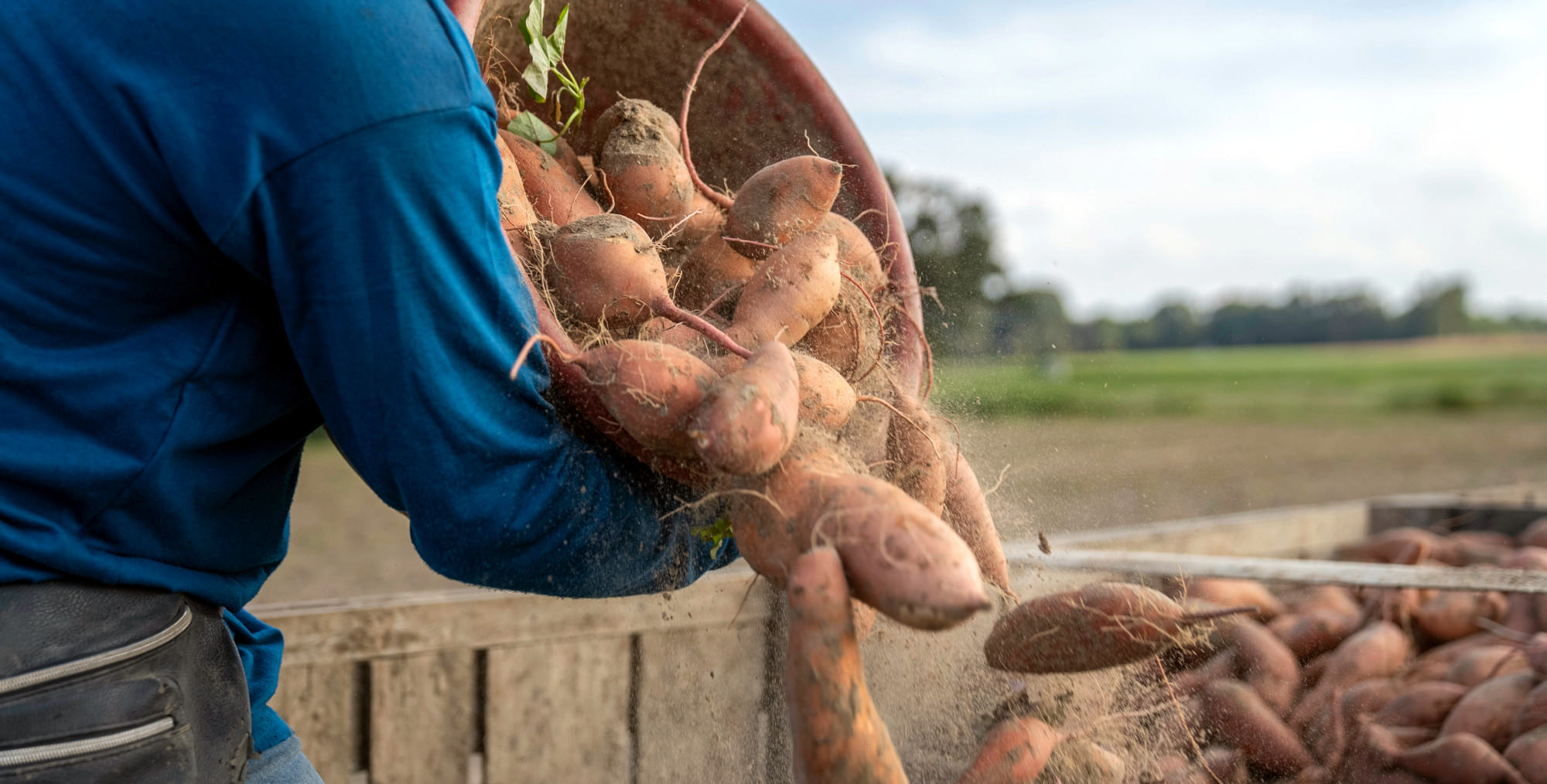 Tesco, WWF Tapping Sustainable Food Startups to Fast-Track Supply Chain Innovations