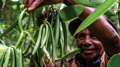 Why Higher Commodity Prices Hurt Smallholder Farmers — and What Can Be Done to Help
