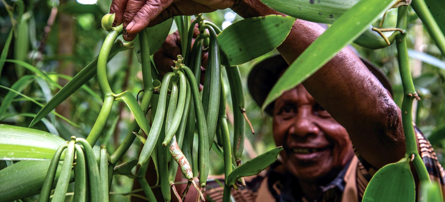 Why Higher Commodity Prices Hurt Smallholder Farmers — and What Can Be Done to Help