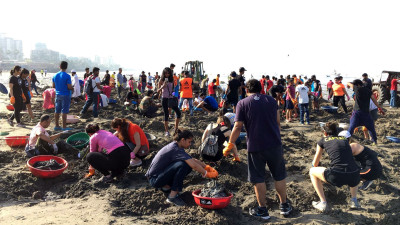 Yes, Beach Cleanups Still Play an Important Role in Ocean Restoration