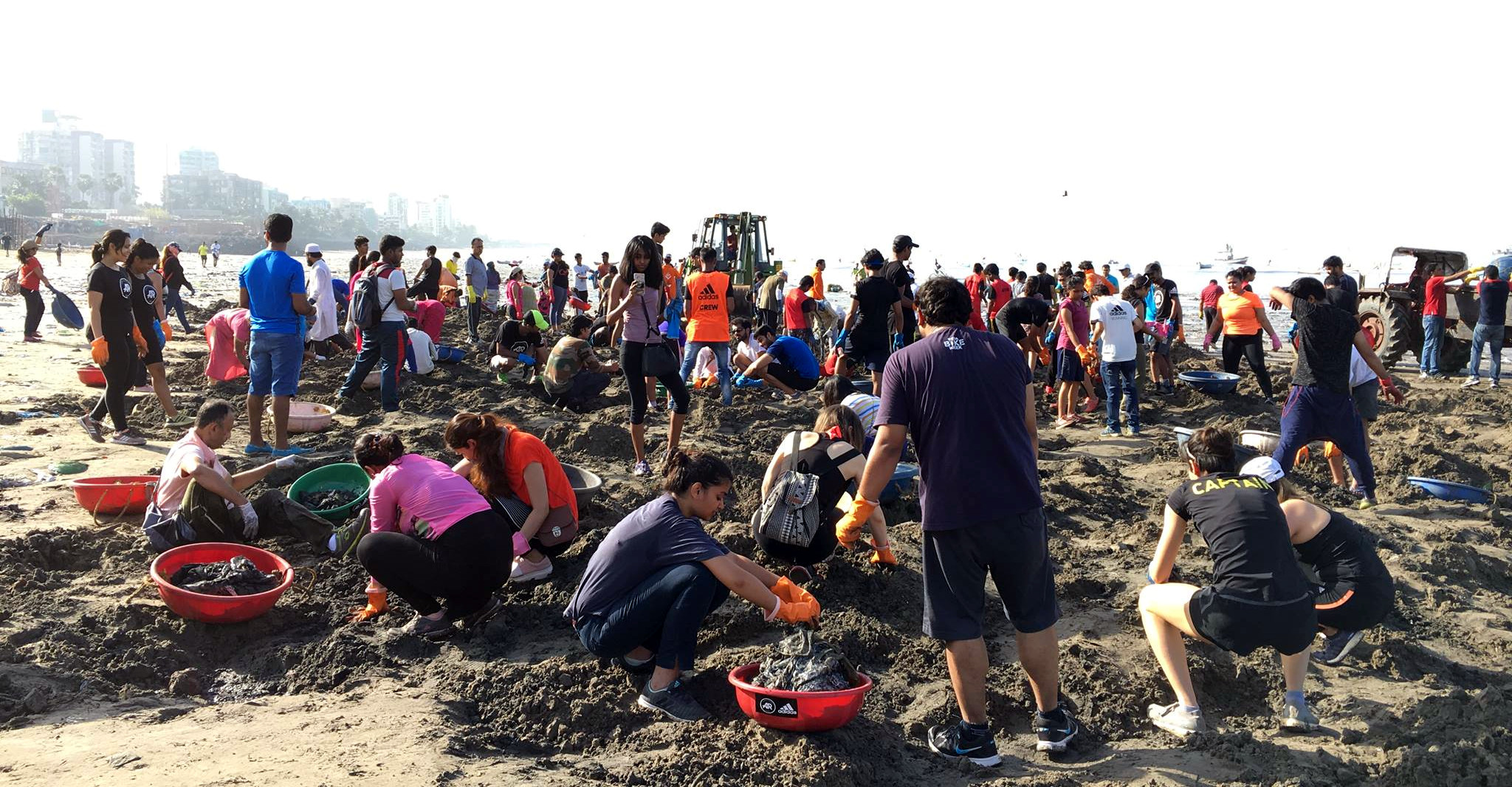 Yes, Beach Cleanups Still Play an Important Role in Ocean Restoration