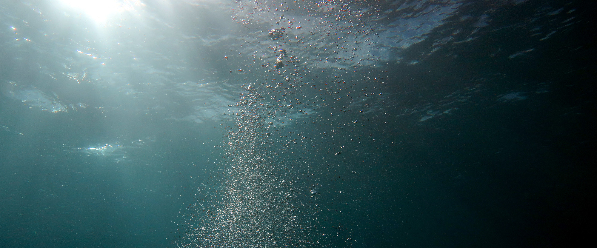 This Startup Is Enhancing the Ocean’s Ability to Store Carbon, Reversing Acidification