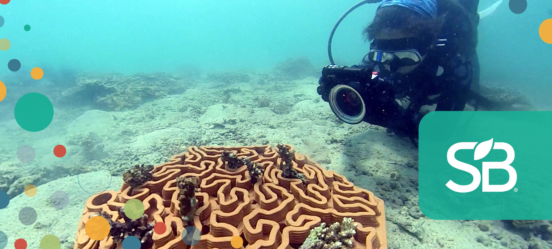 Archireef Artificial Reef: Coral Reef Restoration