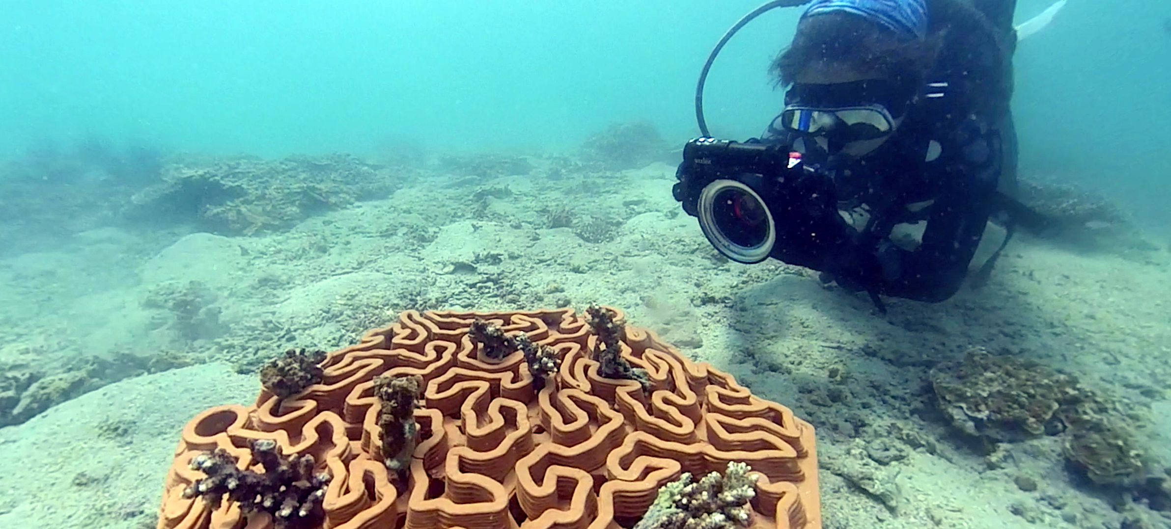 This Company’s 3D-Printed Terracotta Tiles Are Paving the Way for Coral Restoration