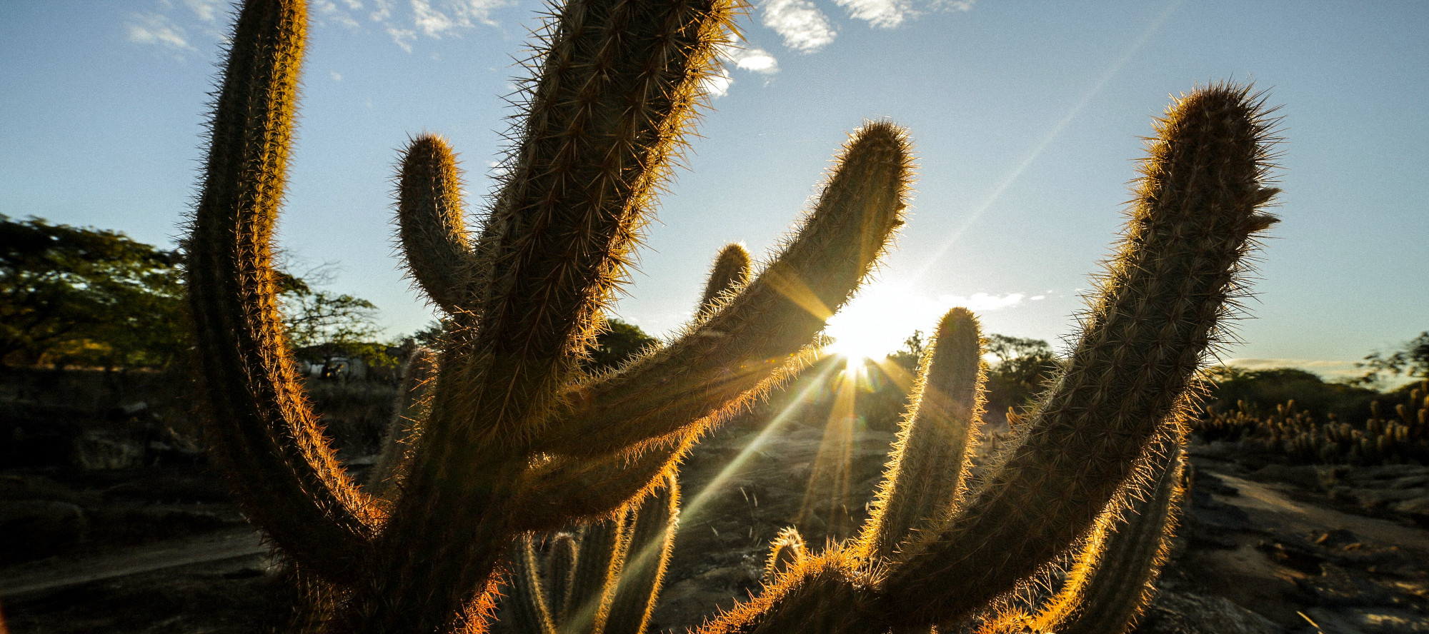 COP15: ‘Environmental DNA’ Technology Enables World-First Nature Performance-Monitoring Service