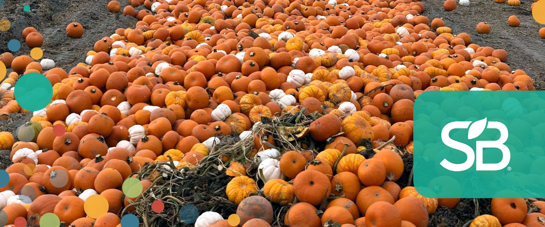 New Marketplace Matches Tesco Suppliers to Swap Surplus Stock to Cut