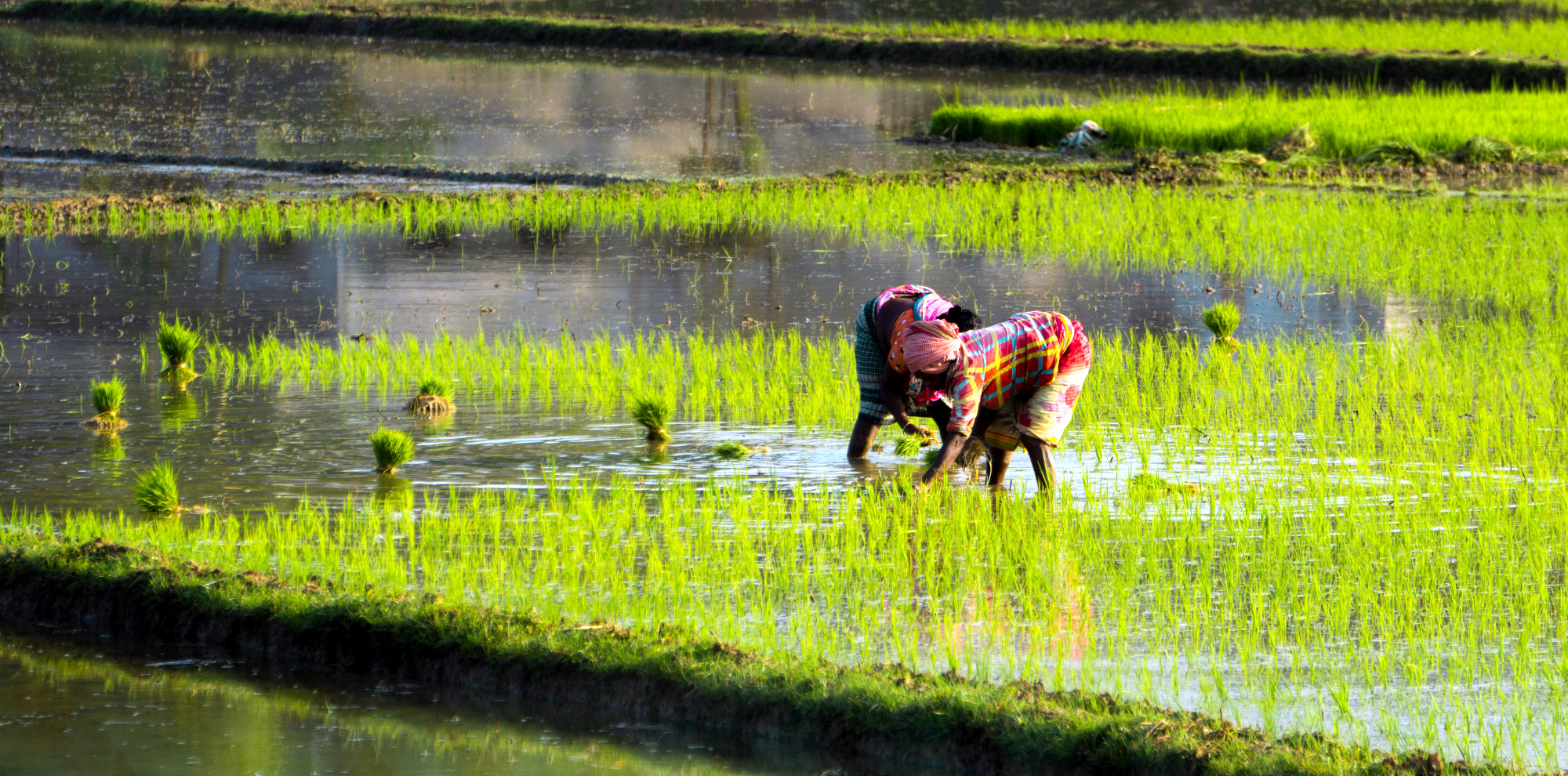 2 New Funds Show Companies, Investors Putting Money Where Their Mouths Are on Biodiversity Commitments