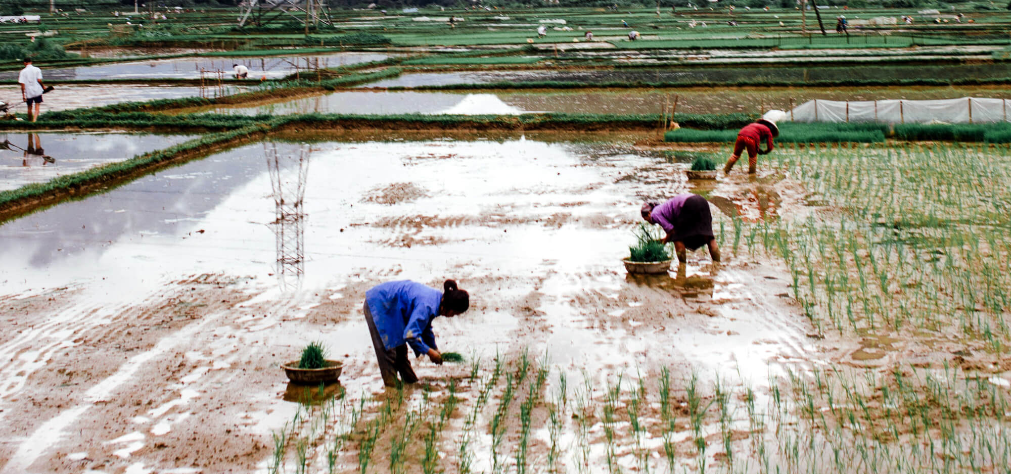 Bayer Pledges to Help Tackle Global Water Crisis, End Malnutrition