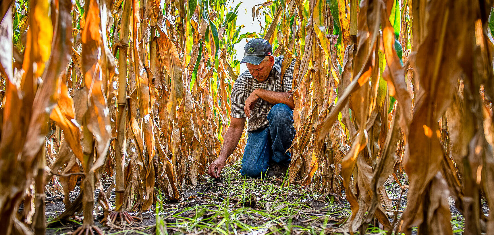 PepsiCo Invests $216M to Support Regenerative Ag Transformation on Over 3M Acres of US Farmland