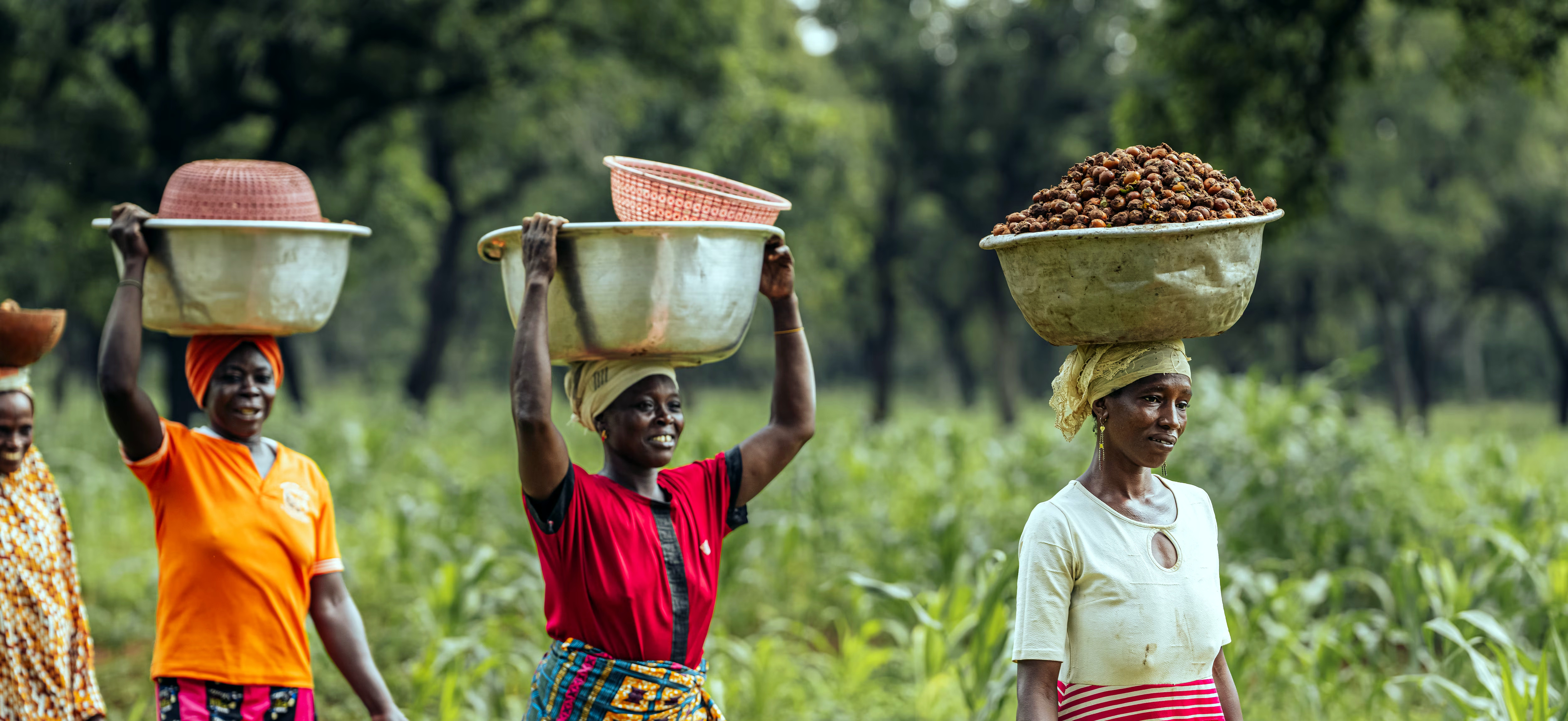 Estée Lauder Companies Advances Financial Literacy for Women in Shea Supply Chain