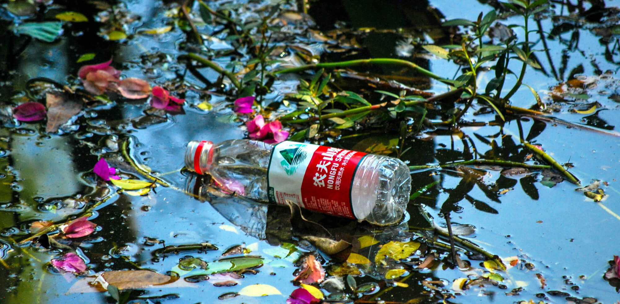 Investor Demand Propelling Corporate Plastic-Reduction Strategies