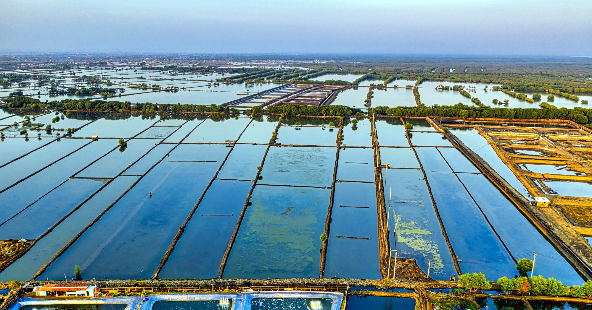 Aquaculture Industry Must Become Regenerative or Fail to Meet Demand by 2050