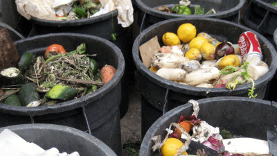 Challenges in the Evolving Organic-Waste Landscape