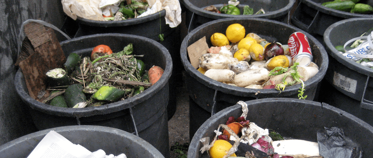 Challenges in the Evolving Organic-Waste Landscape