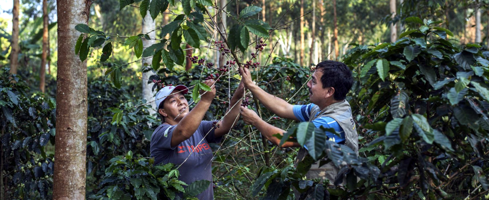 10K Farmers, 18 Countries, 8 Commodities & 4 Ways to Co-Create an Equitable, Sustainable Food System