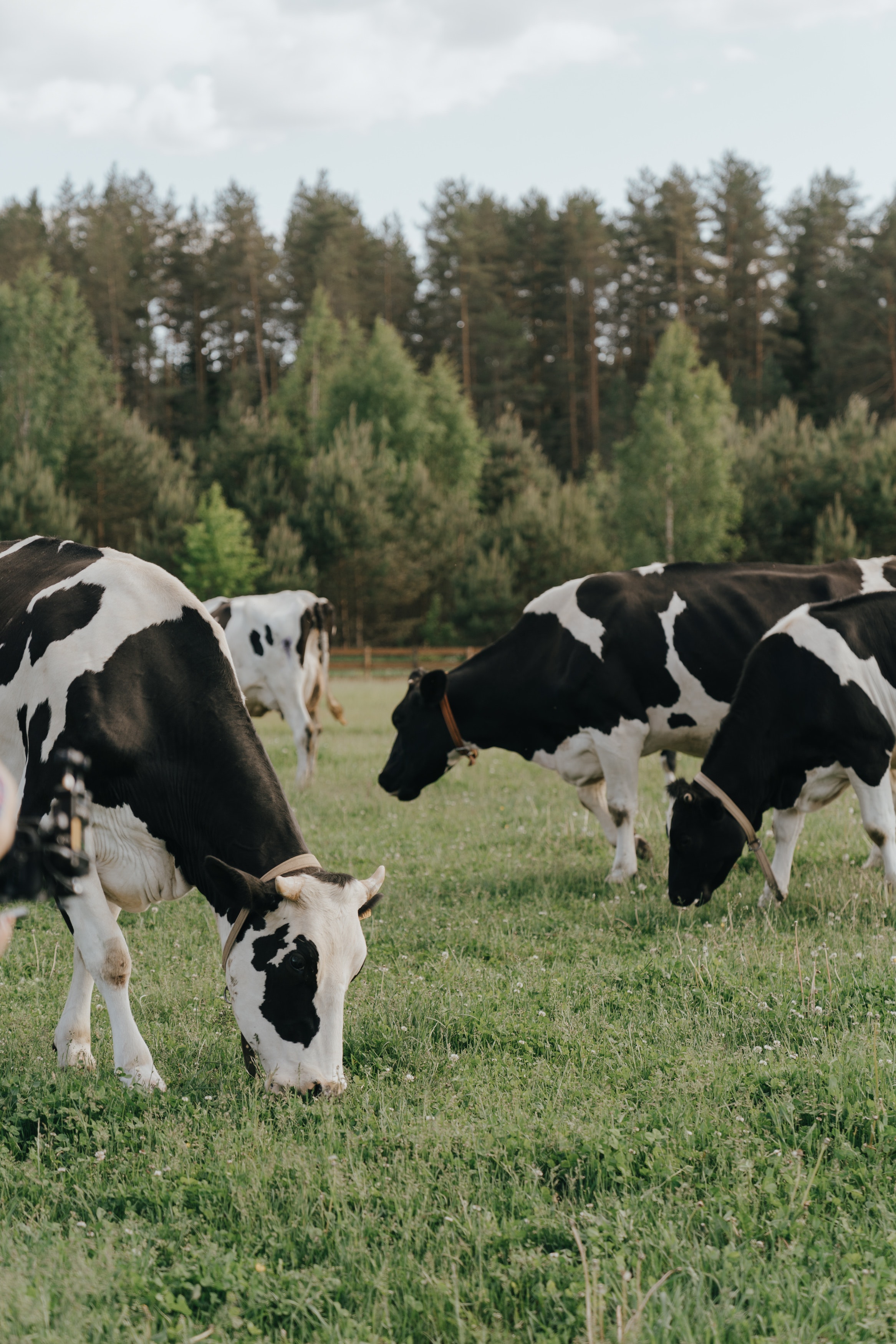 Vanguard Renewables Publicizes Massachusetts-based 88 Acres  Joins the Farm Powered Sustainability Heroes Program