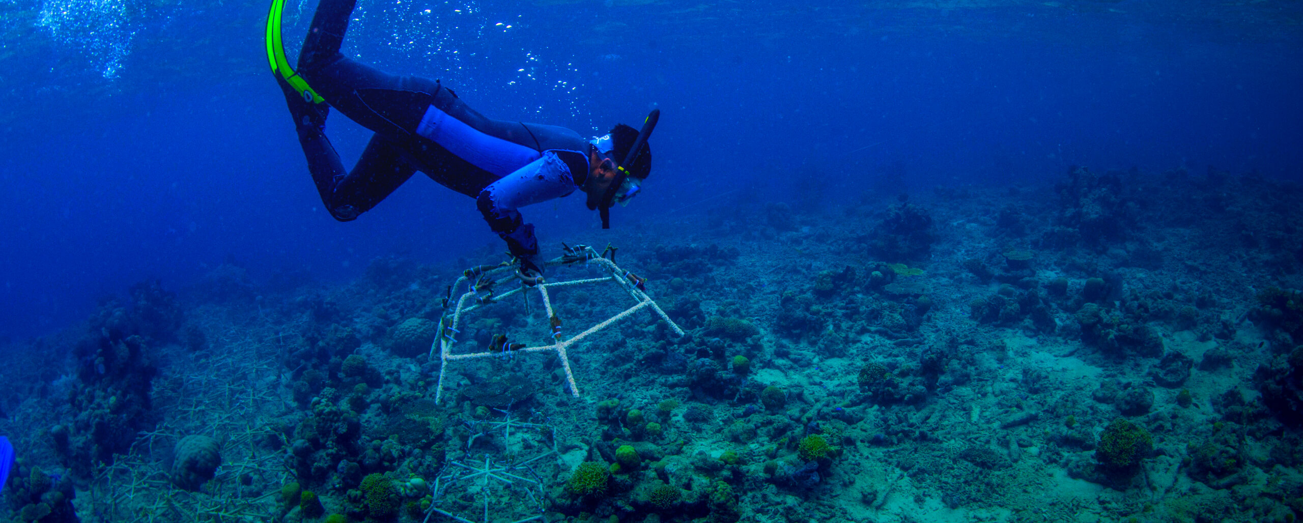 ‘Big Build’ Brings Mars Closer to Goal of Restoring 1M Corals Worldwide by End of 2023