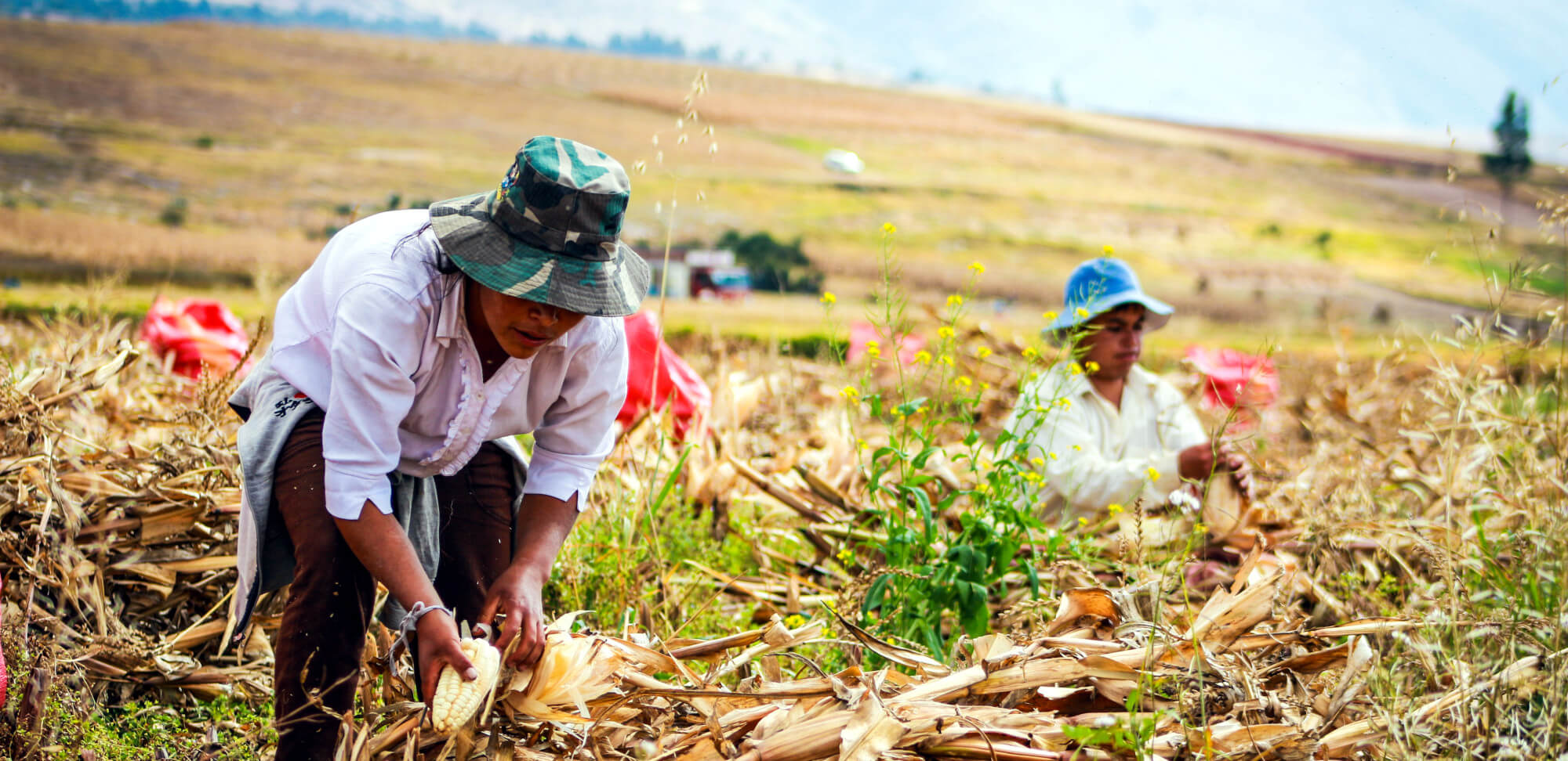 Landmark Report Sets Out 7 Steps for Embedding Nature, Equity Goals into Global Financial Activity