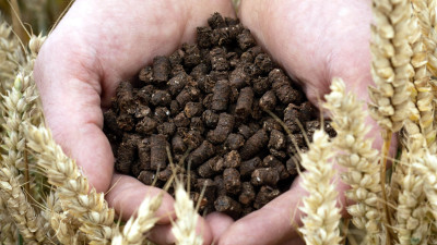 Nestlé, Cargill, CCm Upcycling Cocoa Shells into Low-Carbon Fertilizer