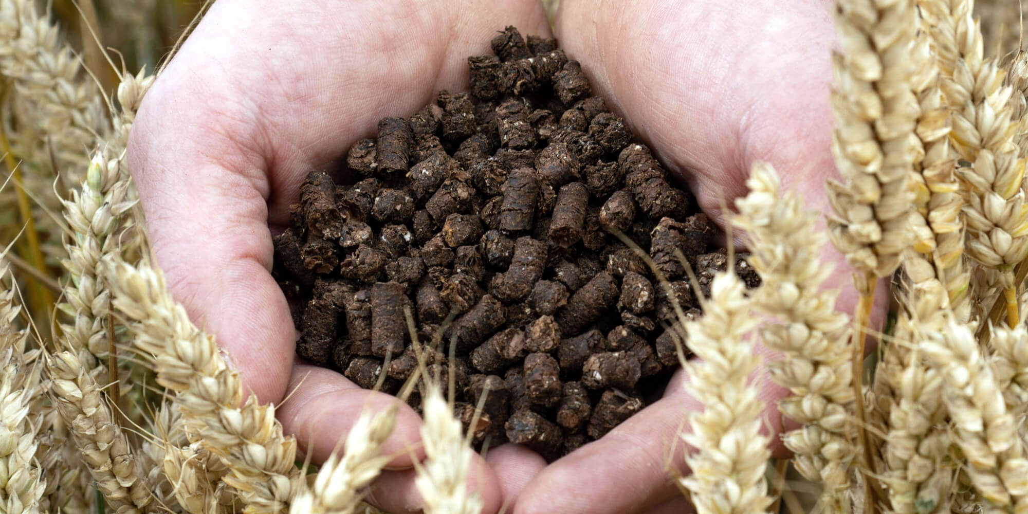 Nestlé, Cargill, CCm Upcycling Cocoa Shells into Low-Carbon Fertilizer