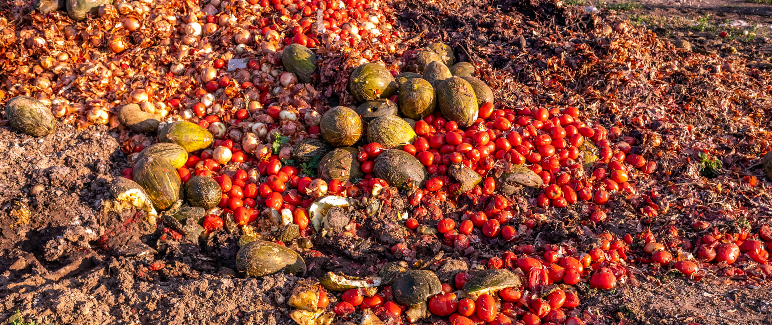 From Landfills to Biogas and Healthier Crops: The Anaerobic Digestion Revolution