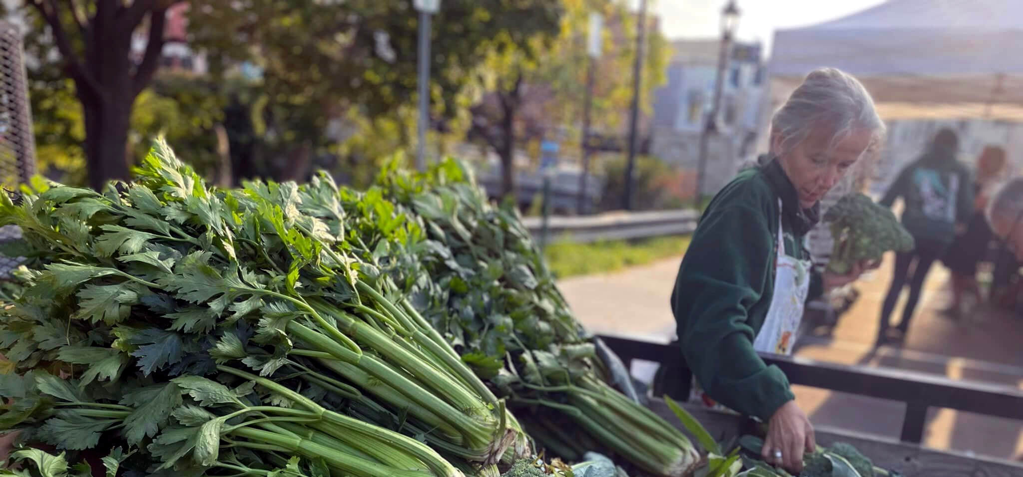 New Book Serves Up Case Studies for Cultivating Local Food Economies