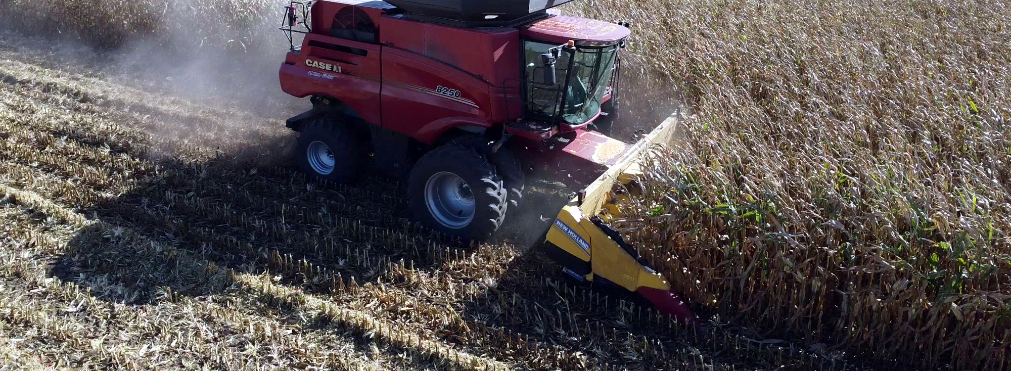 How the US’s Most Abundant Crop Is Changing the Way Plastic Is Produced