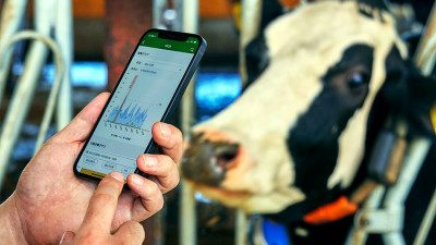 Japanese Dairy Farming Being Optimized by Digital Tech, Sustainable Practices