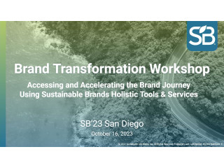 Workshop: Assessing and Accelerating Your Corporate Sustainability Journey