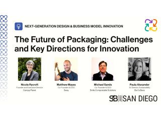 The Future of Packaging: Challenges and Key Directions for Innovation