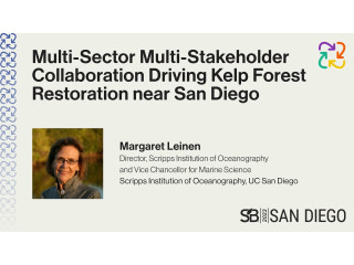 Multi-Sector Multi-Stakeholder Collaboration Driving Kelp Forest Restoration near San Diego