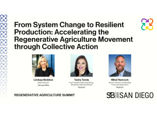 From system change to resilient production: Accelerating the Regenerative Agriculture Movement through Collective Action