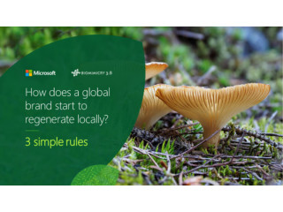 How Does a Global Brand Start to Regenerate Locally? Microsoft & Biomimicry 3.8 Share Three Simple Rules.