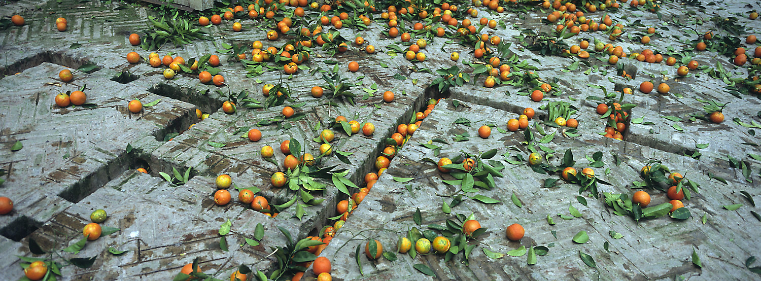 This Spanish Water Utility Is Turning Orange Waste Into Green Power