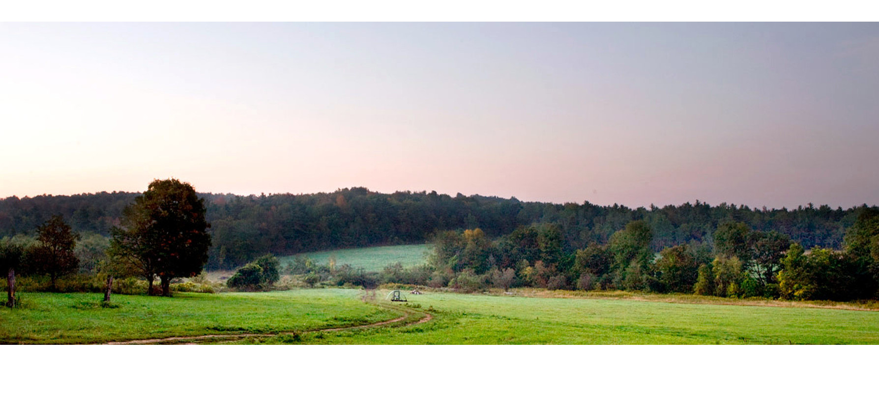 How to Redesign Our Food System for Resilience