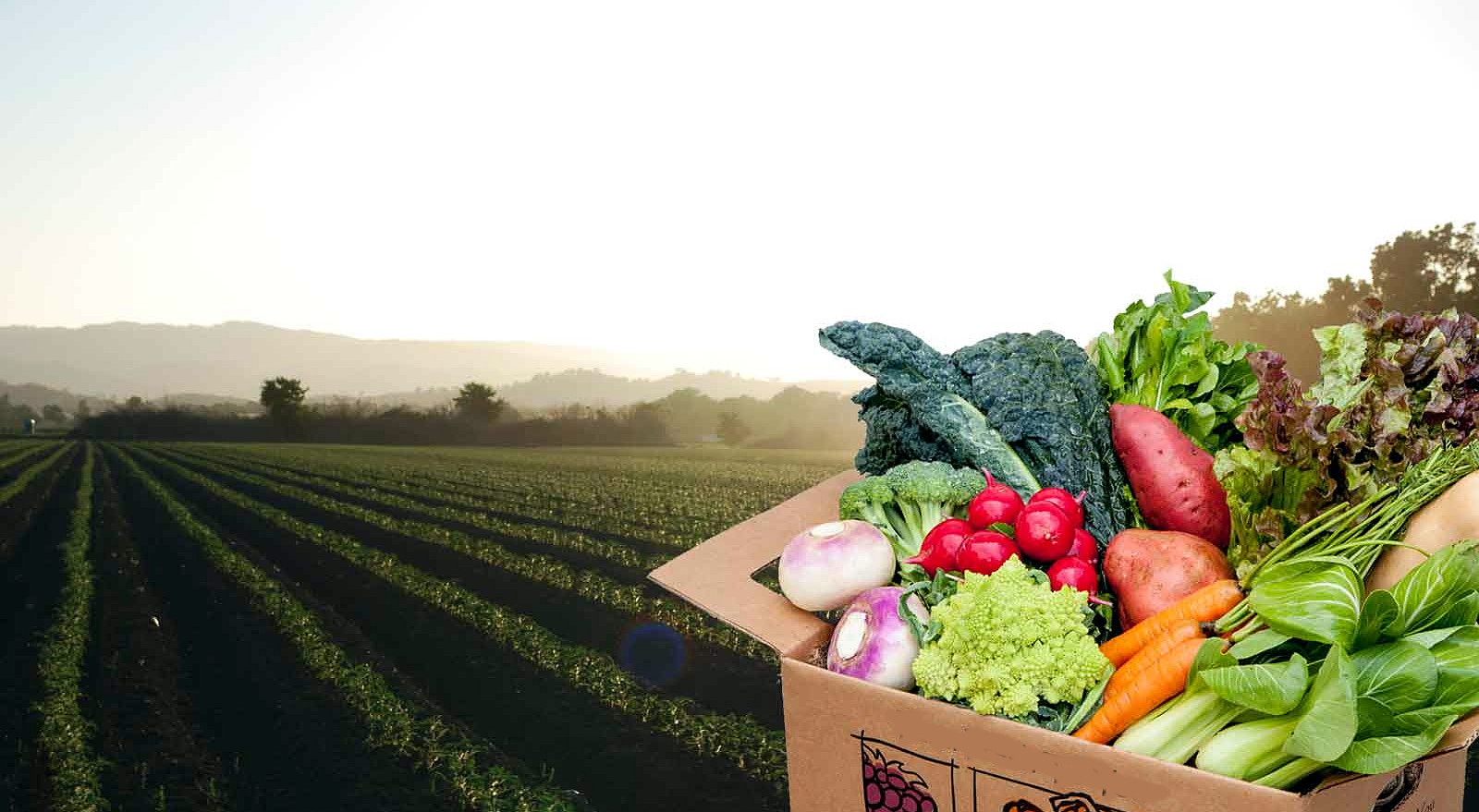 Trending: Public, Private Sectors Rallying to Reduce COVID-Fueled Food Waste