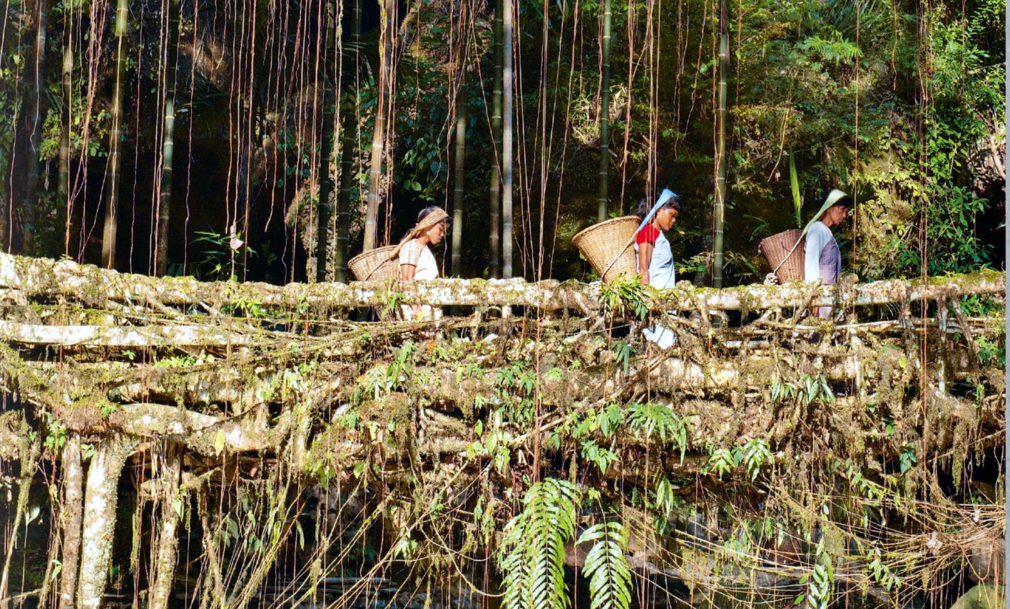 Indigenous Innovations Provide Blueprint for Climate-Resilient Design