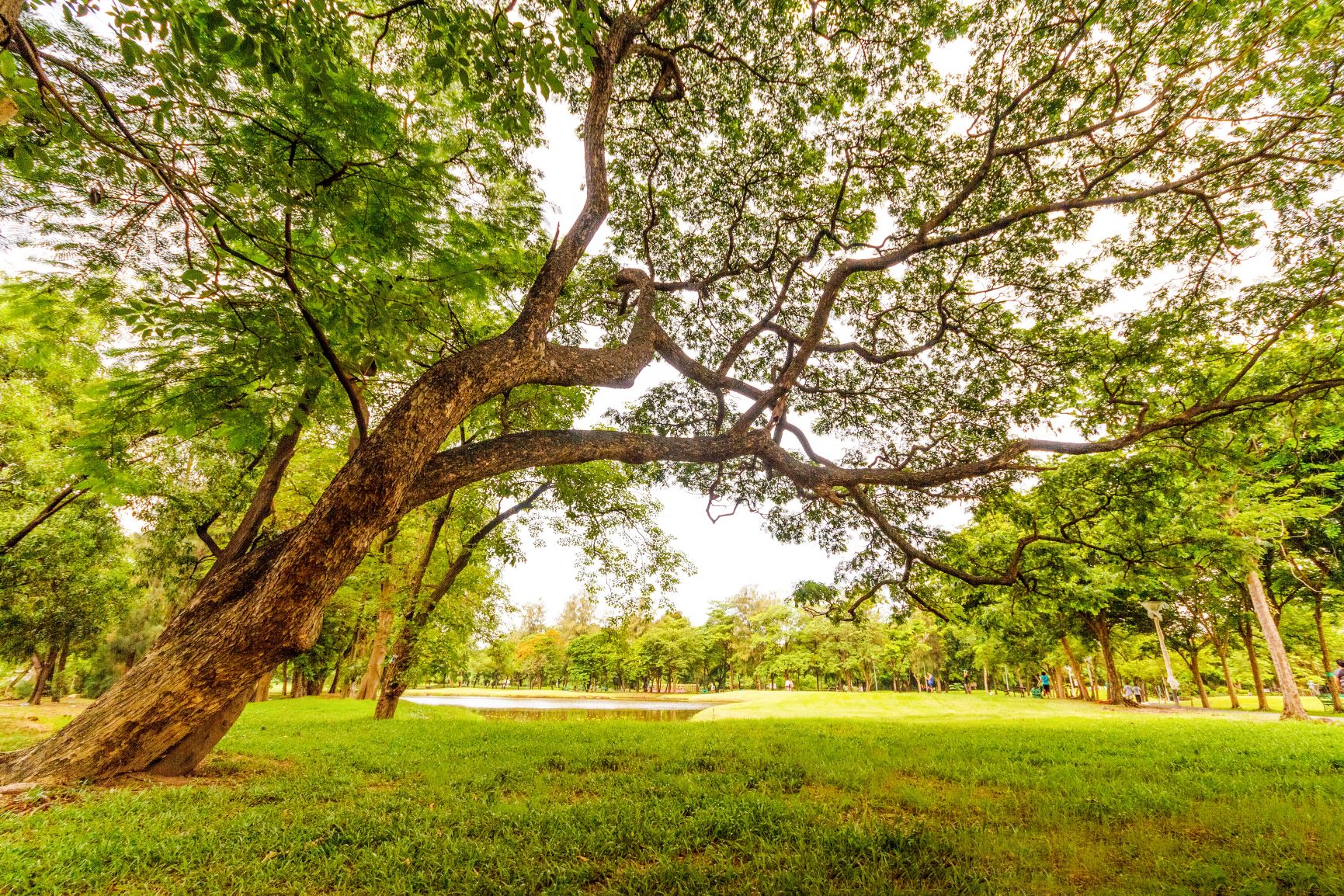 Doing Well by Doing Good: Mastercard Releases 2018 Sustainability Report