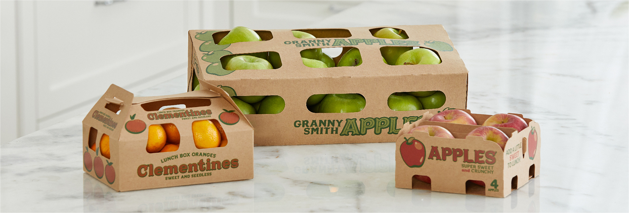 The 5 Biggest Packaging Trends Impacting Sustainability in 2024