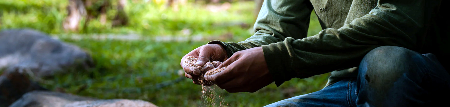 Building Trust to Propel Regenerative Ag Forward: Key
Takeaways from COP28