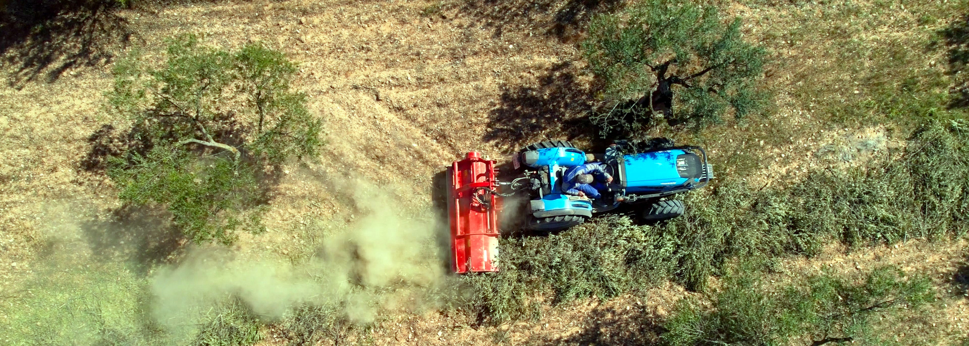 Parts of Future Fords Could Be Made from Olive Waste